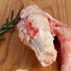 Скакунец