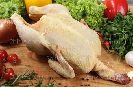 Курица